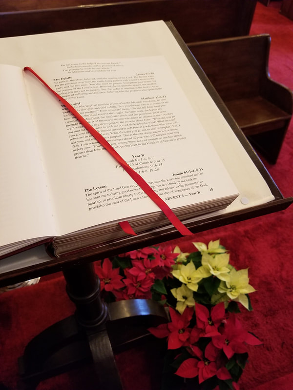 Picture of Open Bible with flowers 